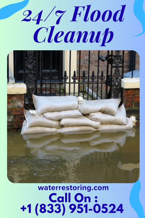 24/7 Flood Cleanup in Lomax, IL