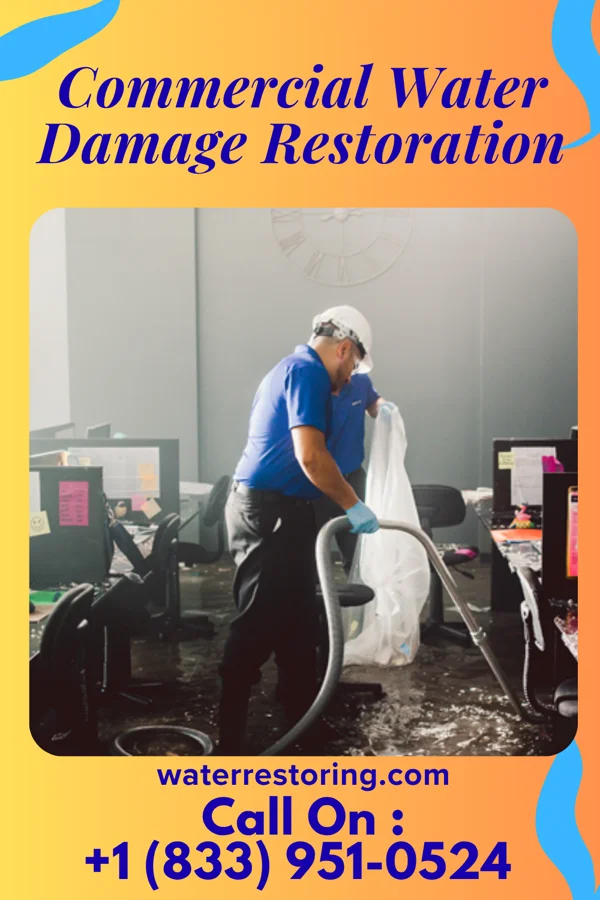 Commercial Water Damage Restoration in Lomax, IL
