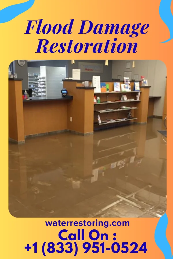 Flood Damage Restoration in Lomax, IL
