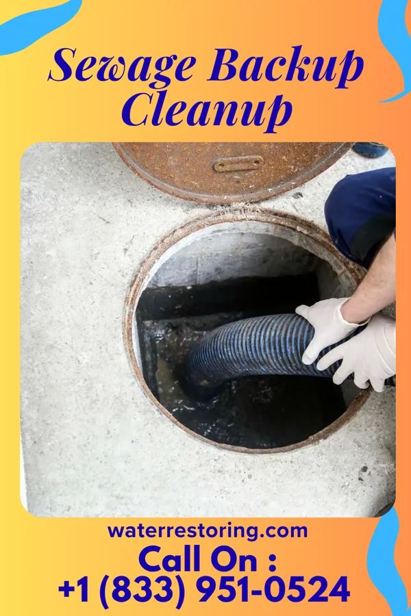 Sewage Backup Cleanup in Lomax, IL